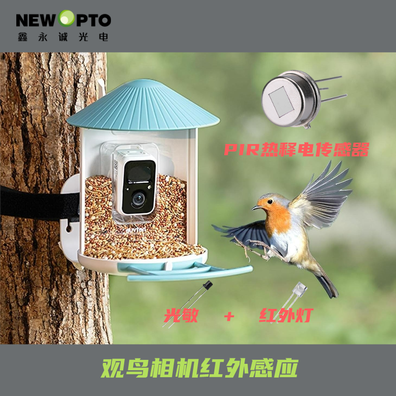 觀鳥(niǎo)相機(jī)中的紅外感應(yīng)應(yīng)用.png